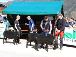 2019_ausstellung polling_274